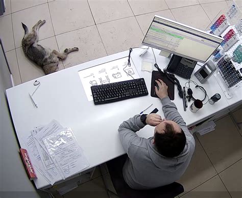 Image result for Computer Work Meme