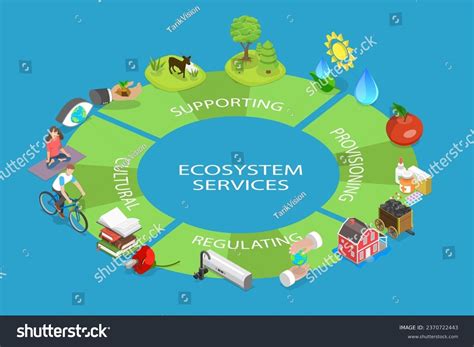 Building And Using Conceptual Diagrams National Ecosystem Services