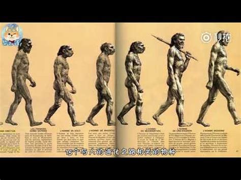 科普：史上被用错最多次的“人类进化图” - YouTube