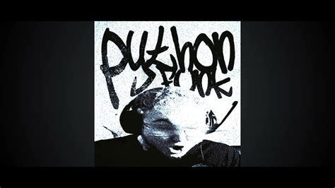 Python Funk Remix 的图像结果