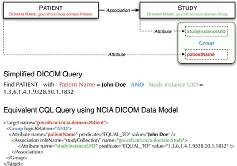 DICOM Query Retrieve Tool 的图像结果