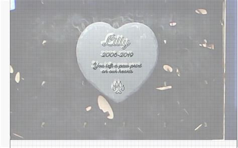 Image result for Run Out Alignment with Camera