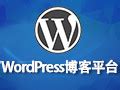 WordPress5.4.1中文版 –