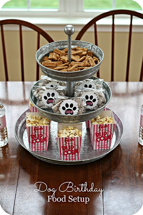 Dog Birthday Party Supplies