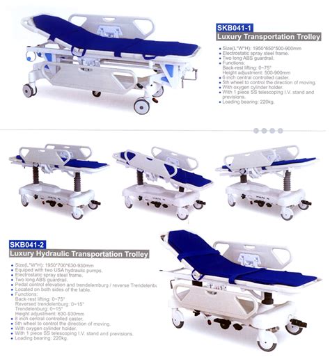 INTERCONTINENTAL WELLNESS & EXIMS