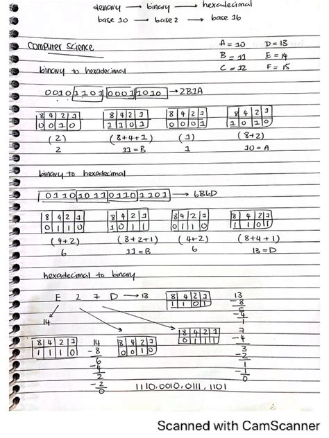 CS Chapter Using Python Libraries 的图像结果