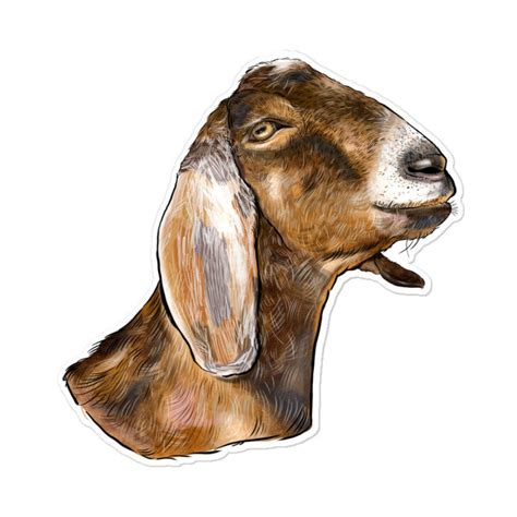 Nubian Goat Head Sticker - Etsy