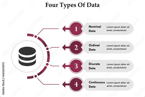 Different Types of Data 的图像结果