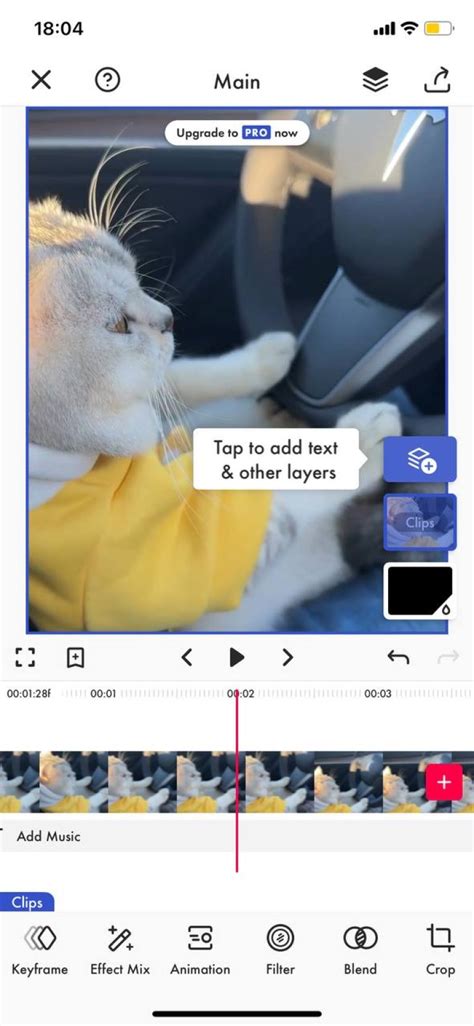 Image result for Video Loop Software