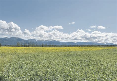 Agriculture In Yukon