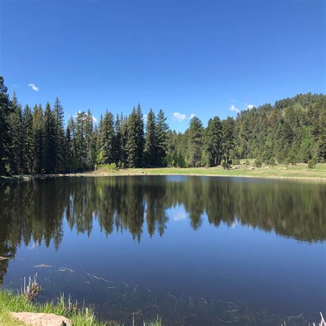 San Juan National Forest Williams Creek Campground Camping | The Dyrt