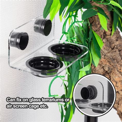 Buy WACOOL Magnetic Reptile Ledge, Acrylic Gecko Feeding Ledge with ...