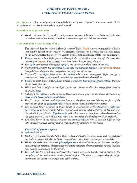 Perception 的图像结果