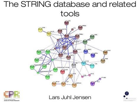 STRING Database Tutorial 的图像结果