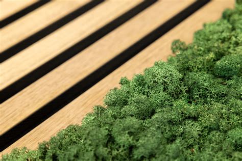 Moss Panel | Decorate inside with moss wall panels - WoodUpp