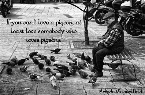 Arm Jolt Script Bold Font | Free Font Download | Download Thousands of ...