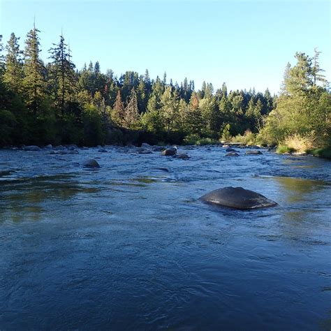 Tucker Park (2026) - Alles wat u MOET weten voordat je gaat (met foto's ...