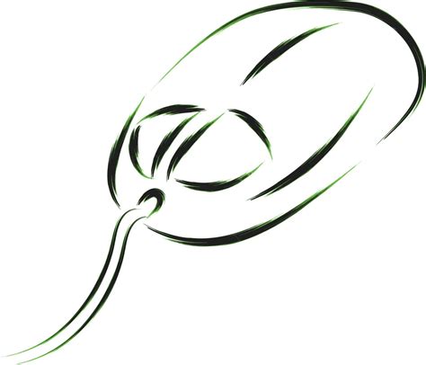 Image result for Computer Mouse Graphic