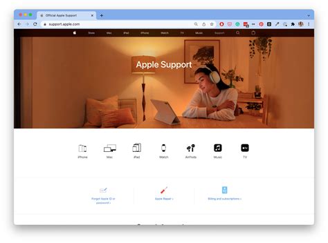Knowledge Base Examples 的图像结果