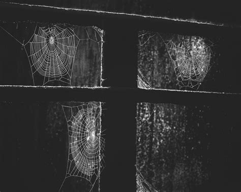 Download wallpaper 1280x1024 window, web, night, black standard 5:4 hd ...