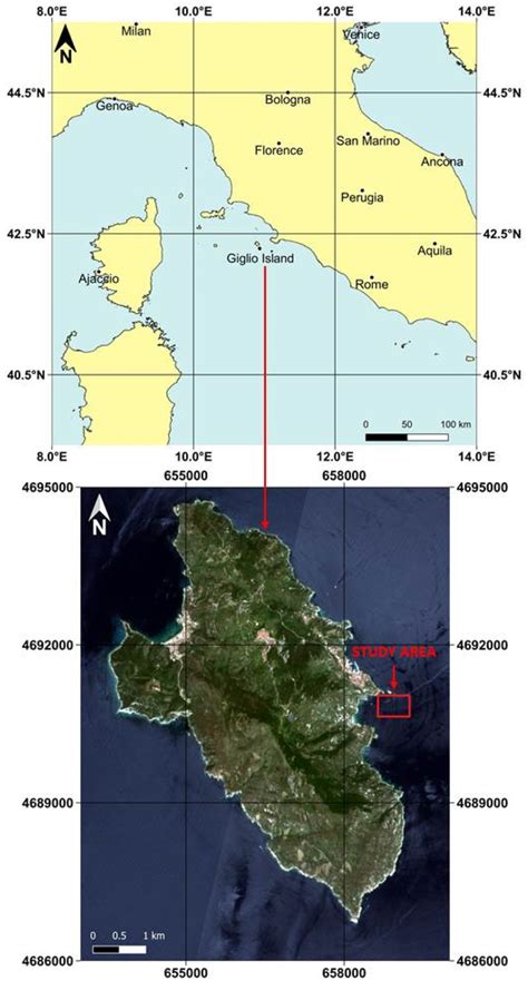 Image result for Equirectangular Projection Grid