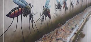 MOSKITOS MLB Organic Mosquito larvicide Bti 5% AS stagnant water apply ...