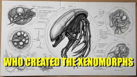 Image result for Xenomorph vs Protomorph
