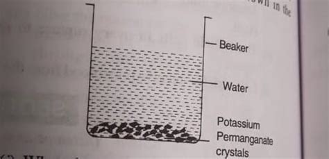 In order to demonstrate a particular phenomenon crystals of potassium ...