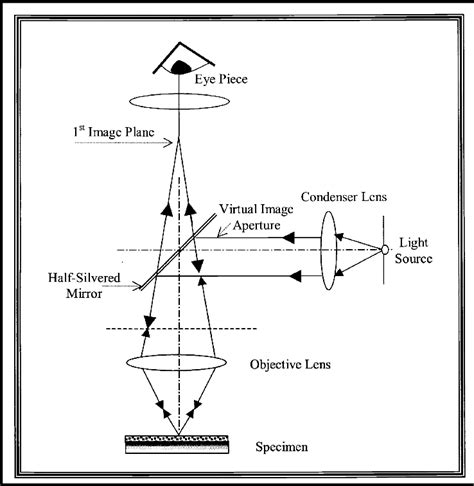 Optical Microscope Basics 的图像结果