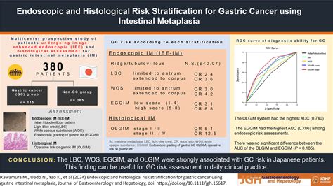 Endoscopic and histological risk stratification for gastric cancer using gastric intestinal ...