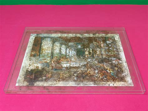 Image result for Crocodile Exploding