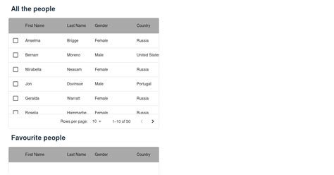 DataGrid Example 的图像结果