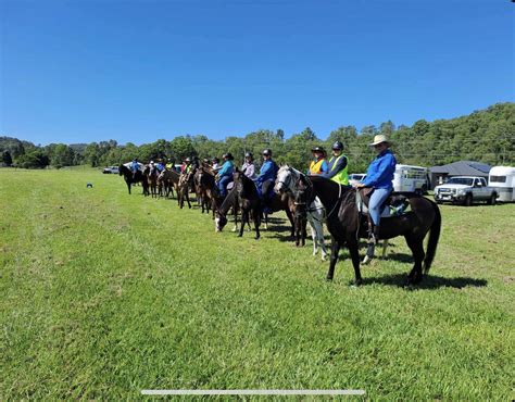 Kin Kin Ride Noosa Trail Network - Australian Trail Horse Riders ...