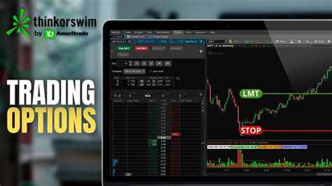 Thinkorswim Options Tutorial 的图像结果