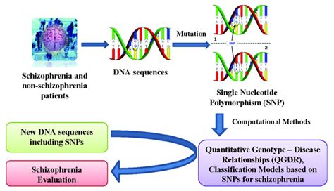 Machine Learning Techniques for Single Nucleotide Polymorphism—Disease ...