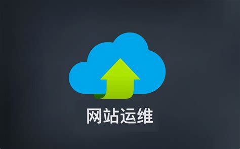 网站维护 上海公司说网站建设完成后要维护好究竟什么叫网站建设维护? - 黑胡蜂