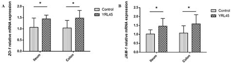 Bacteriocin-Producing Lactiplantibacillus plantarum YRL45 Enhances ...