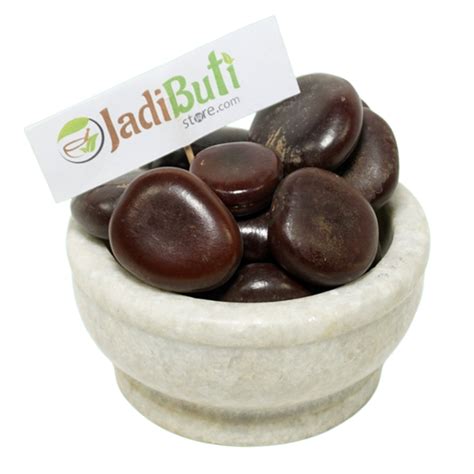 Imli Beej Pahadi - इमली बीज पहाड़ी - Wild Tamarind Seeds - Tamarindus I ...