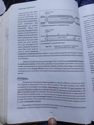 Paramecium type study - Bsczoology - MG University - Studocu