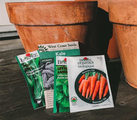 How long do vegetable seeds last?