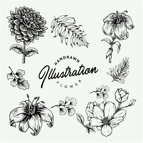 Hand Drawn Flower Set 966067 Vector Art at Vecteezy