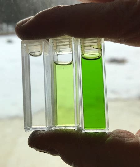 Image result for LabQuest 2 Go Direct SpectroVis Plus