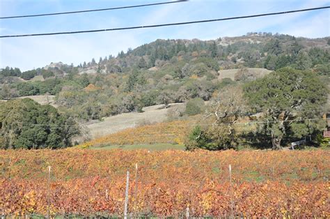 mendocino wine | Brenna Ingersol Mahon | Flickr