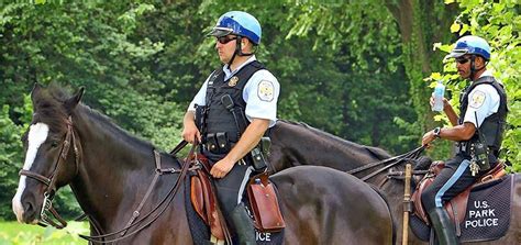 Ambassadors for Safety: Meet the U.S. Park Police Horse Mounted Patrol ...