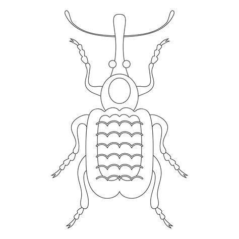 Coloring book of weevil beetle | Premium Vector