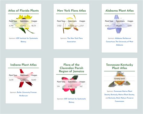 Florida Atlas Of Plants