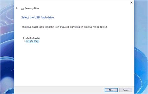 Image result for Back Up Computer On Flash Drive Windows 1.0