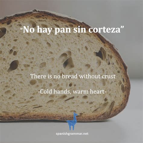 List of Professions and Job Titles in Spanish - Spanish Grammar