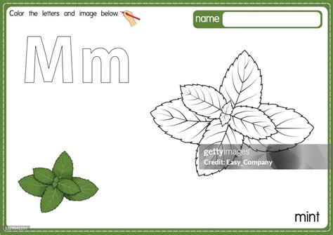 Image result for What Is a Java Source Code
