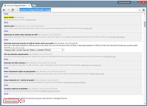 How to Enable NPAPI in Chrome 的图像结果